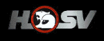 HSV